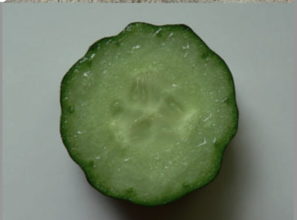 Don’t eat cucumbers in July